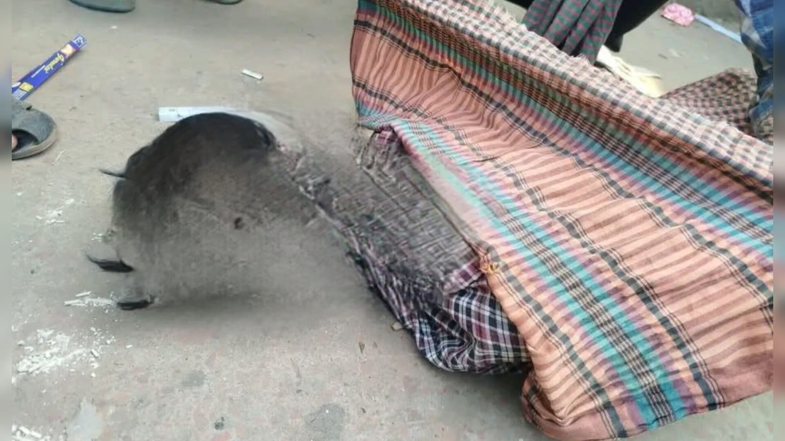 কুমিল্লার ময়নামতিতে অ*জ্ঞাত ব্যক্তির মৃ*ত্যু, স্বজনদের খোঁজে সহযোগিতা কামনা